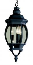 Trans Globe 4066 BK - 3LT MED HANGING LANTERN-OUTD-B